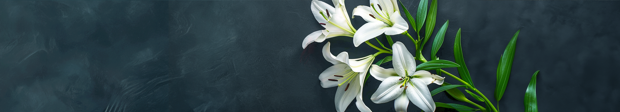 Lilies
