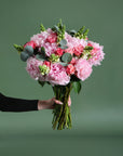 The Darling Blossom