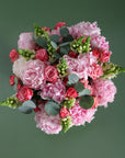 The Darling Blossom
