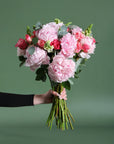 The Darling Blossom