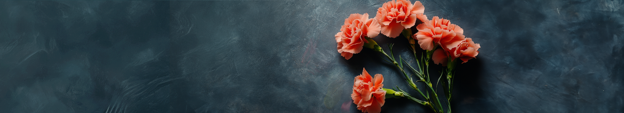Carnations