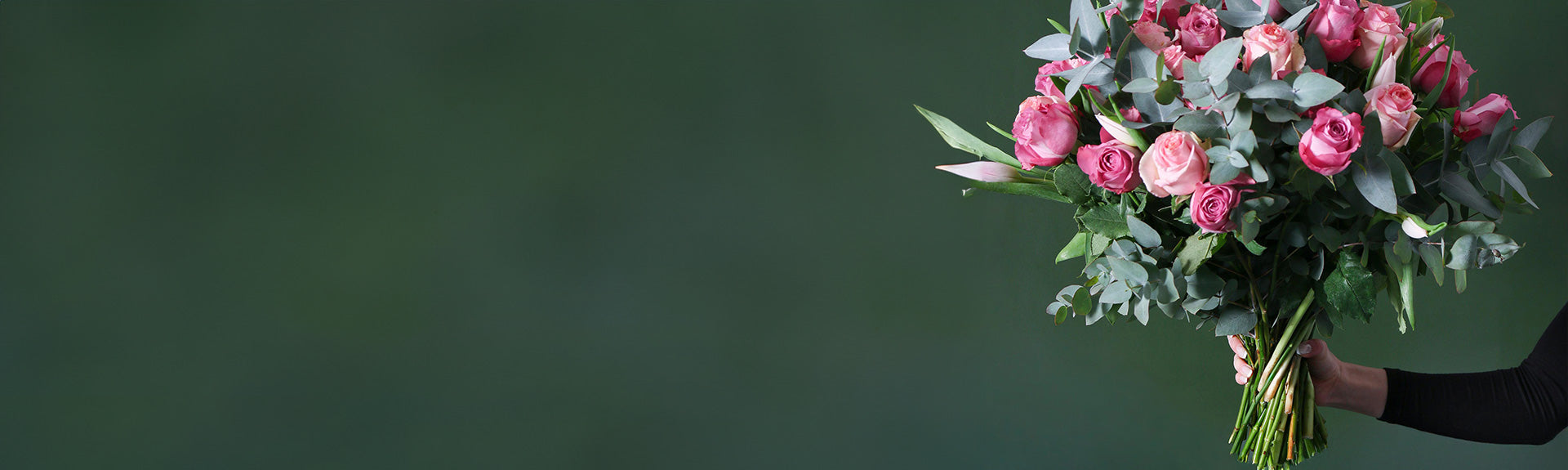Slideshow Image 2