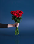 The Oxford Rose