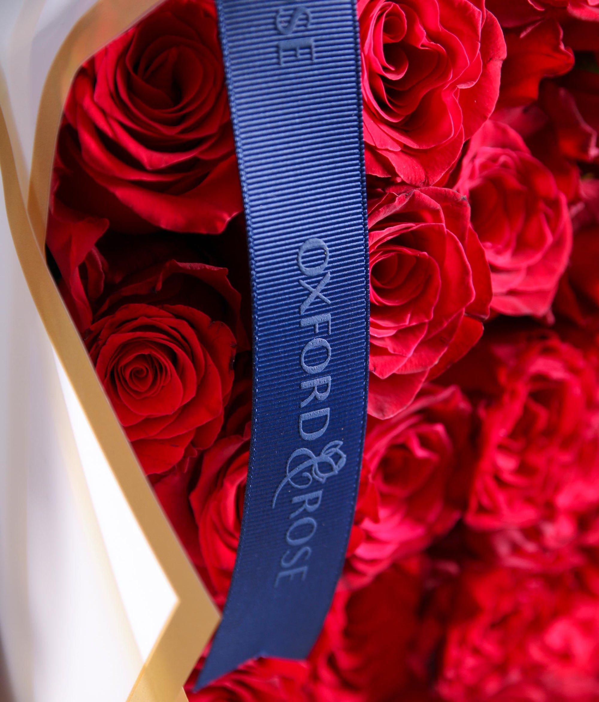 The Oxford Rose