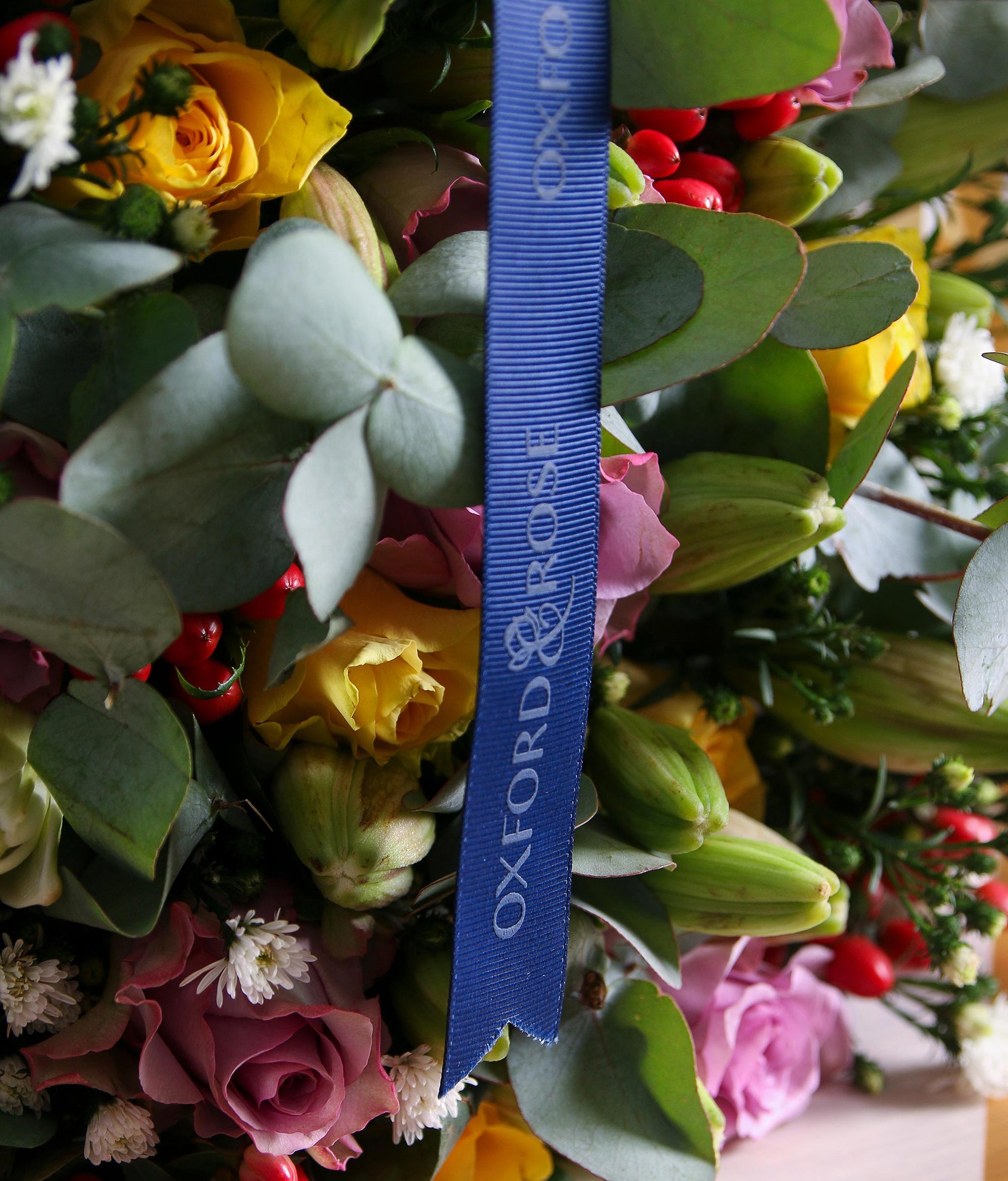 The Kindness Bloom