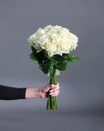 The Timeless Romance