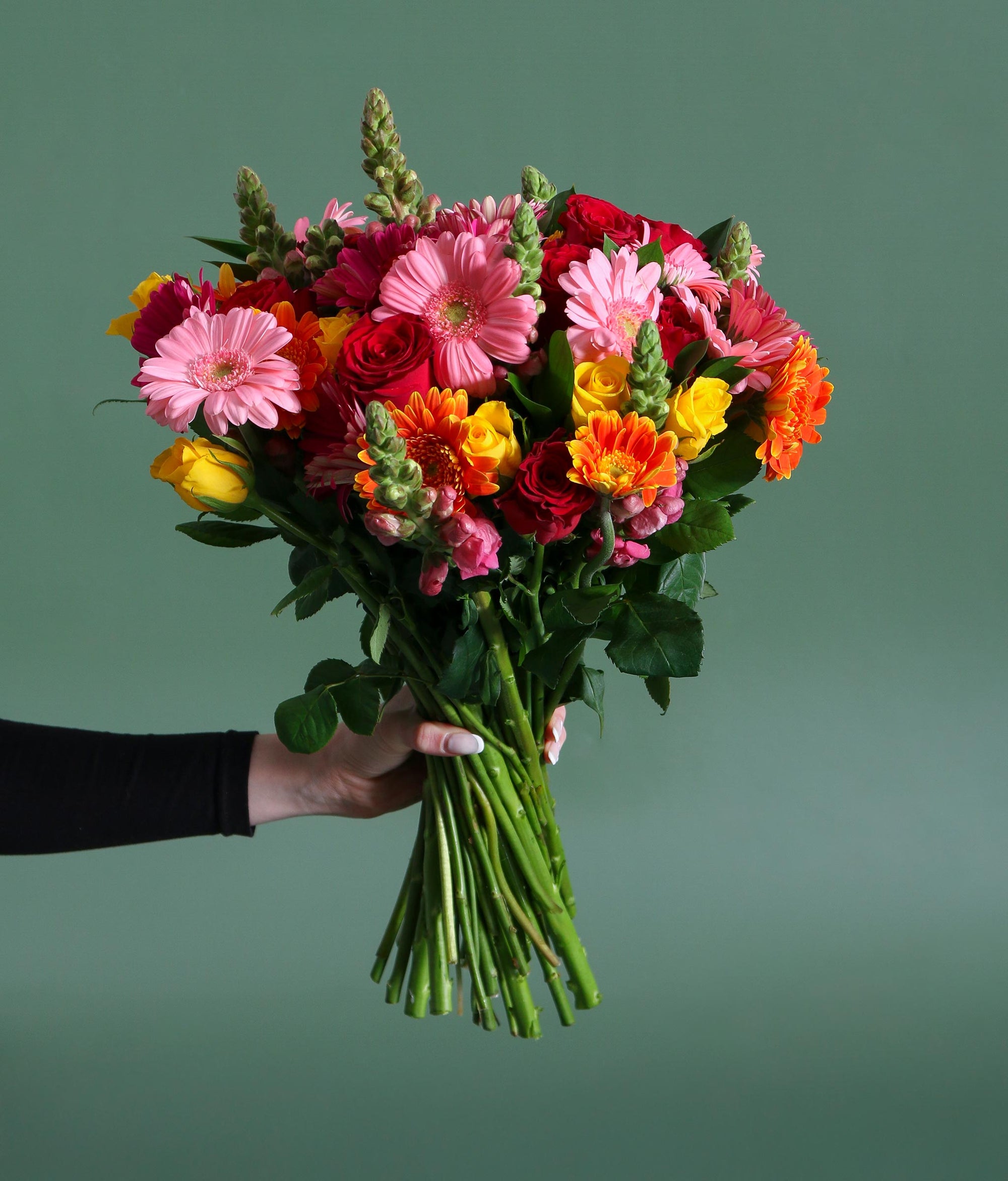 The Harvest Mother's Day Edit