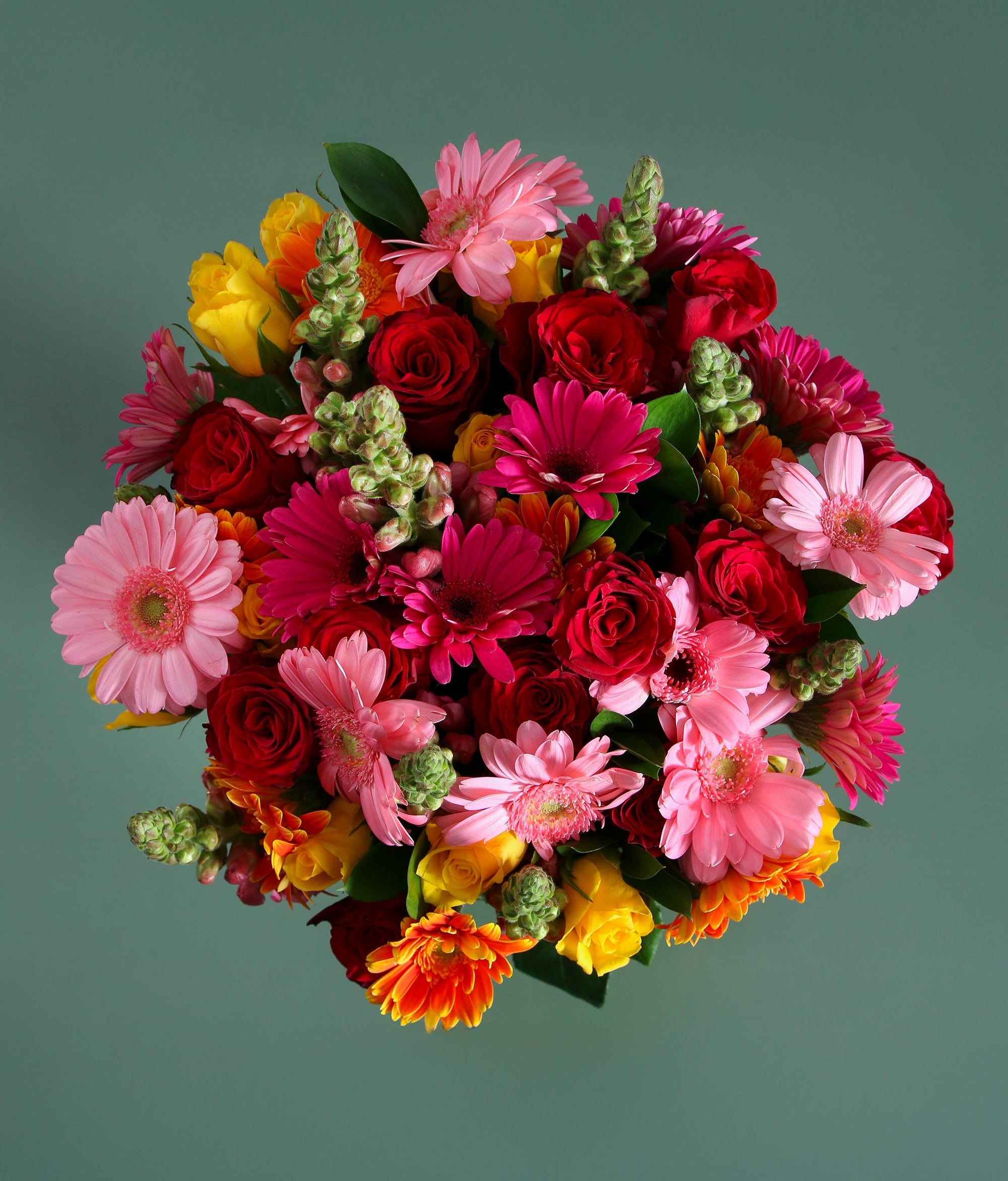 The Harvest Mother's Day Edit