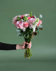 The Darling Blossom