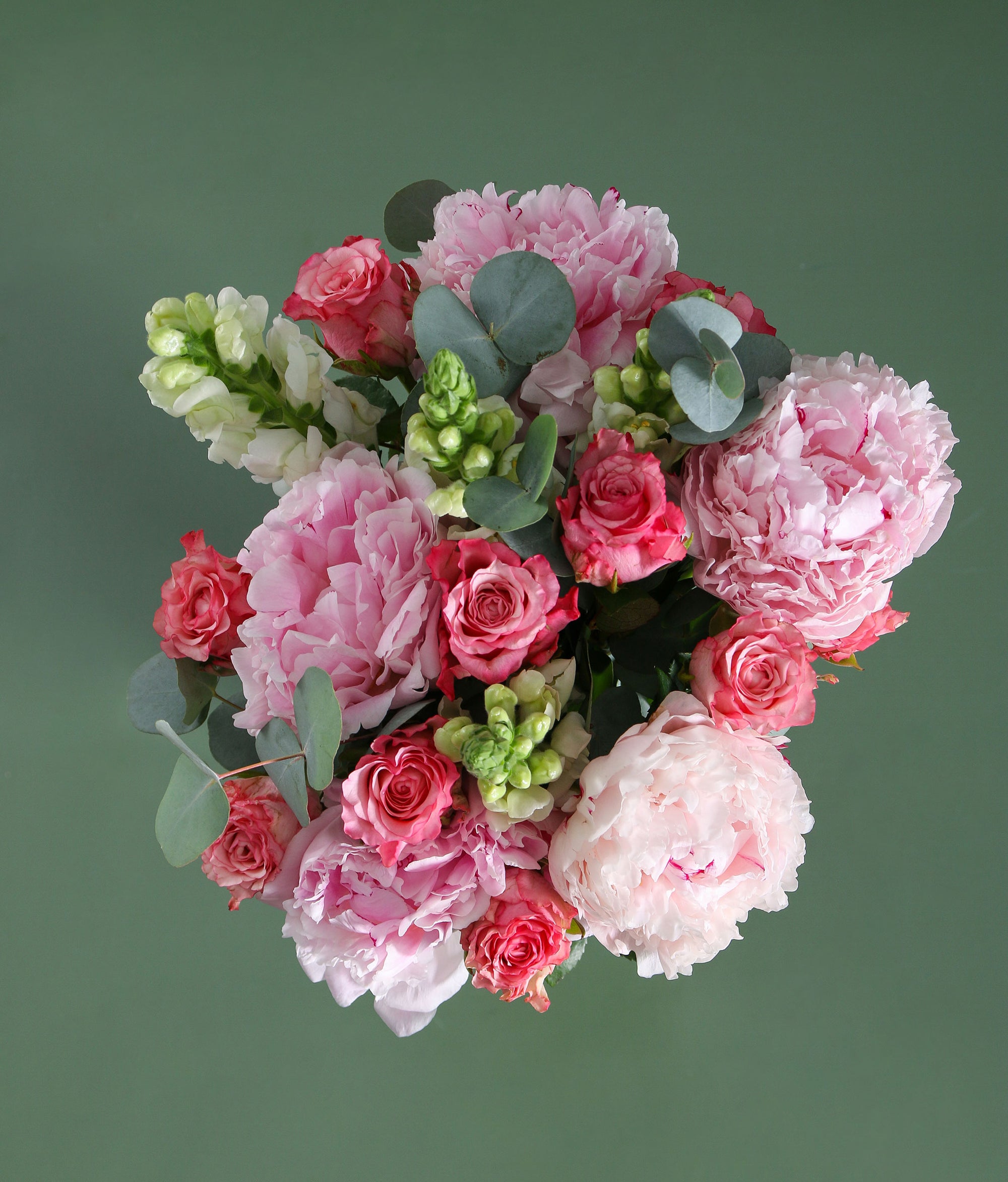 The Darling Blossom
