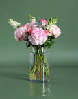 The Darling Blossom