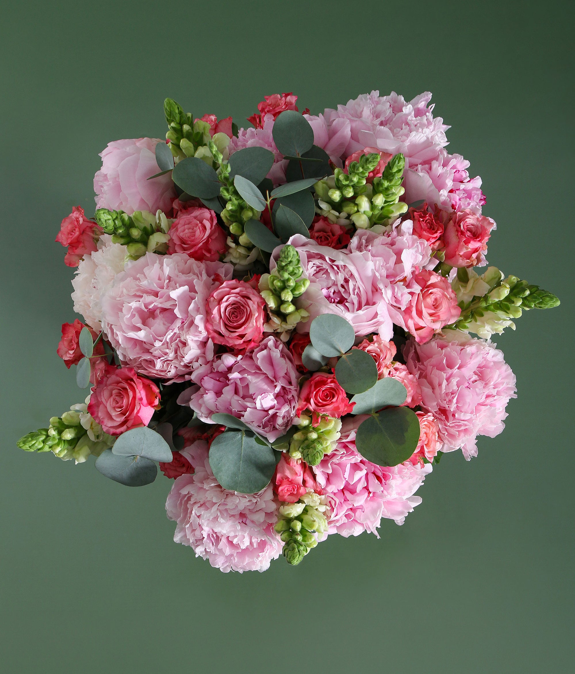The Darling Blossom
