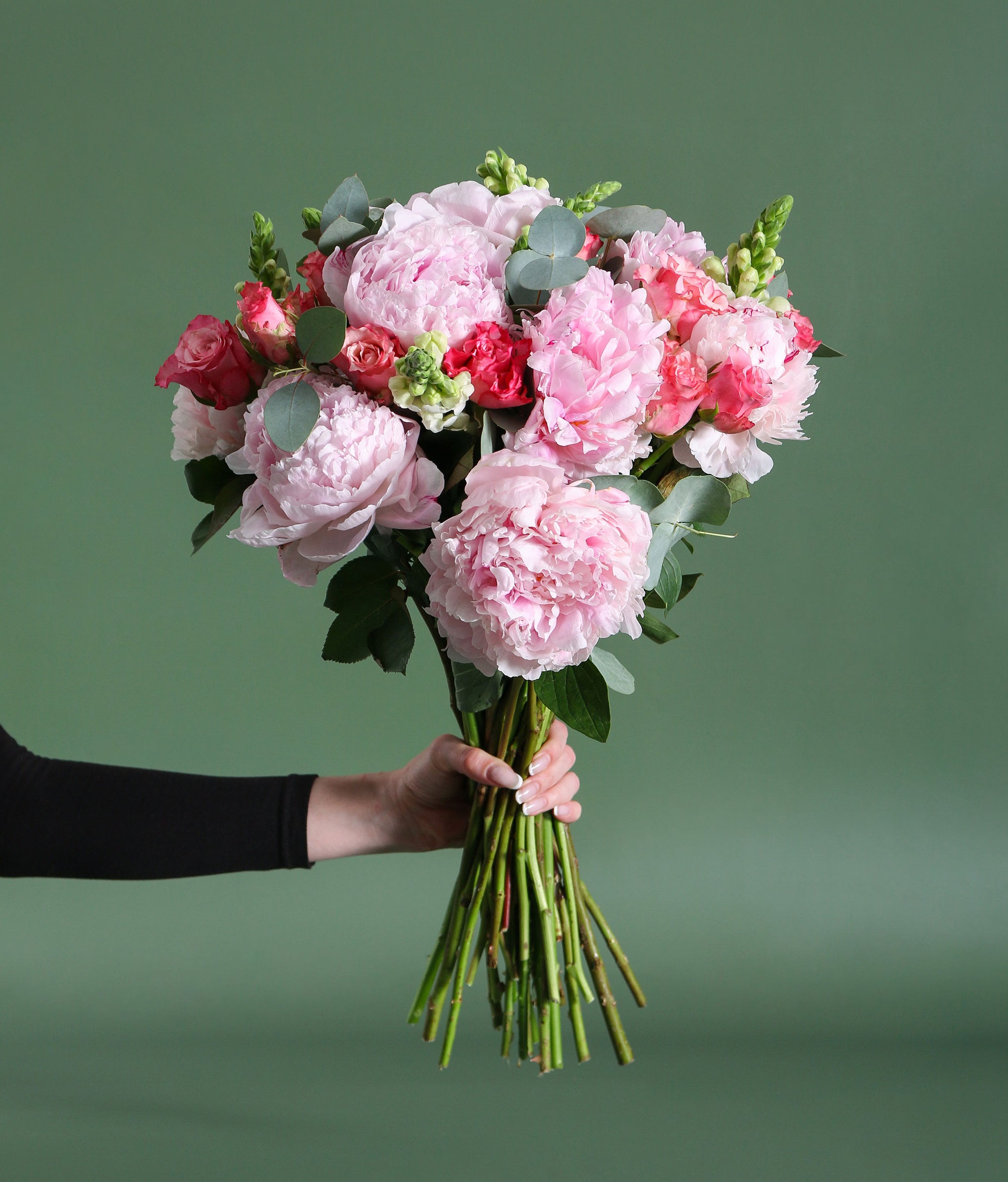 The Darling Blossom