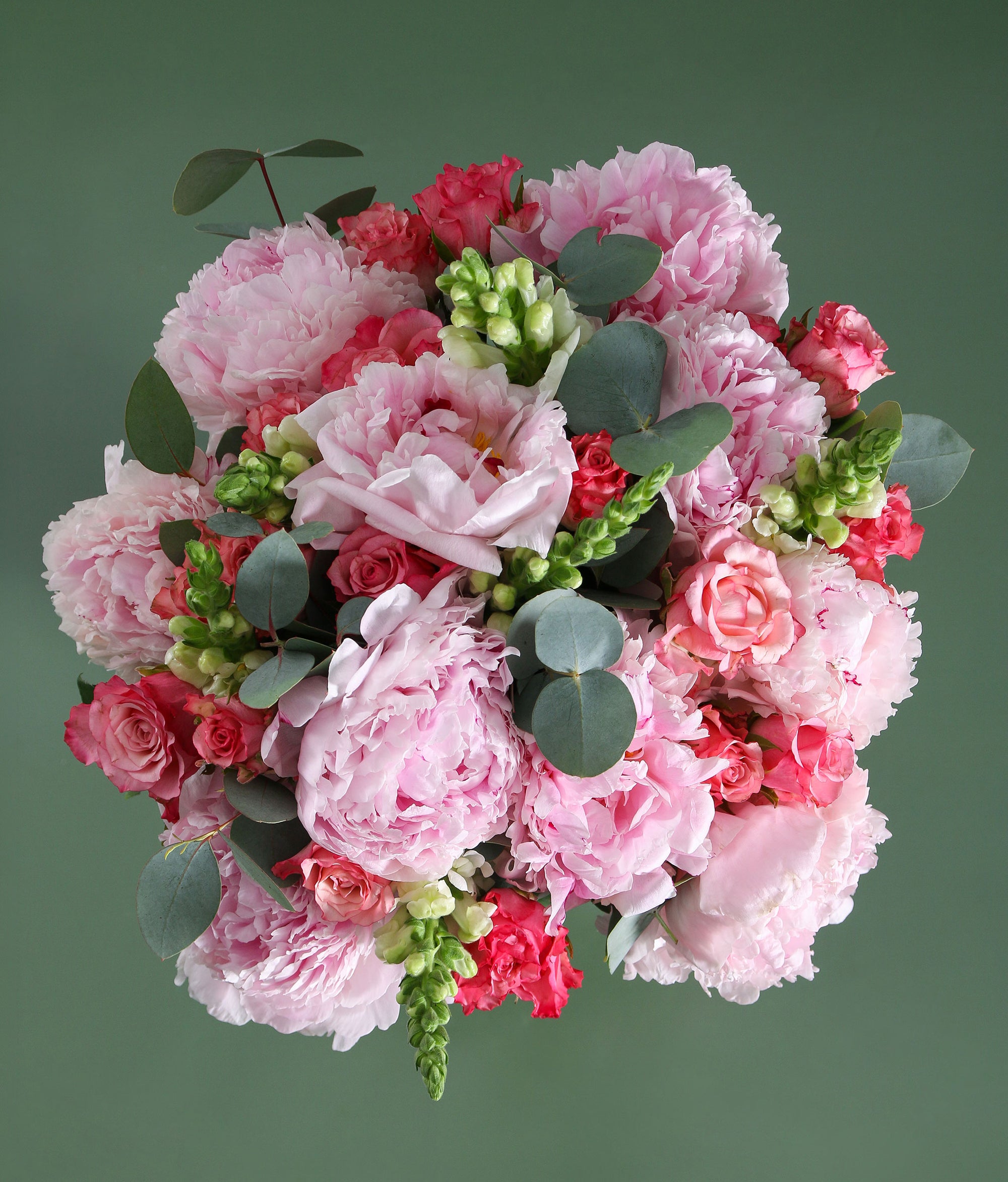 The Darling Blossom