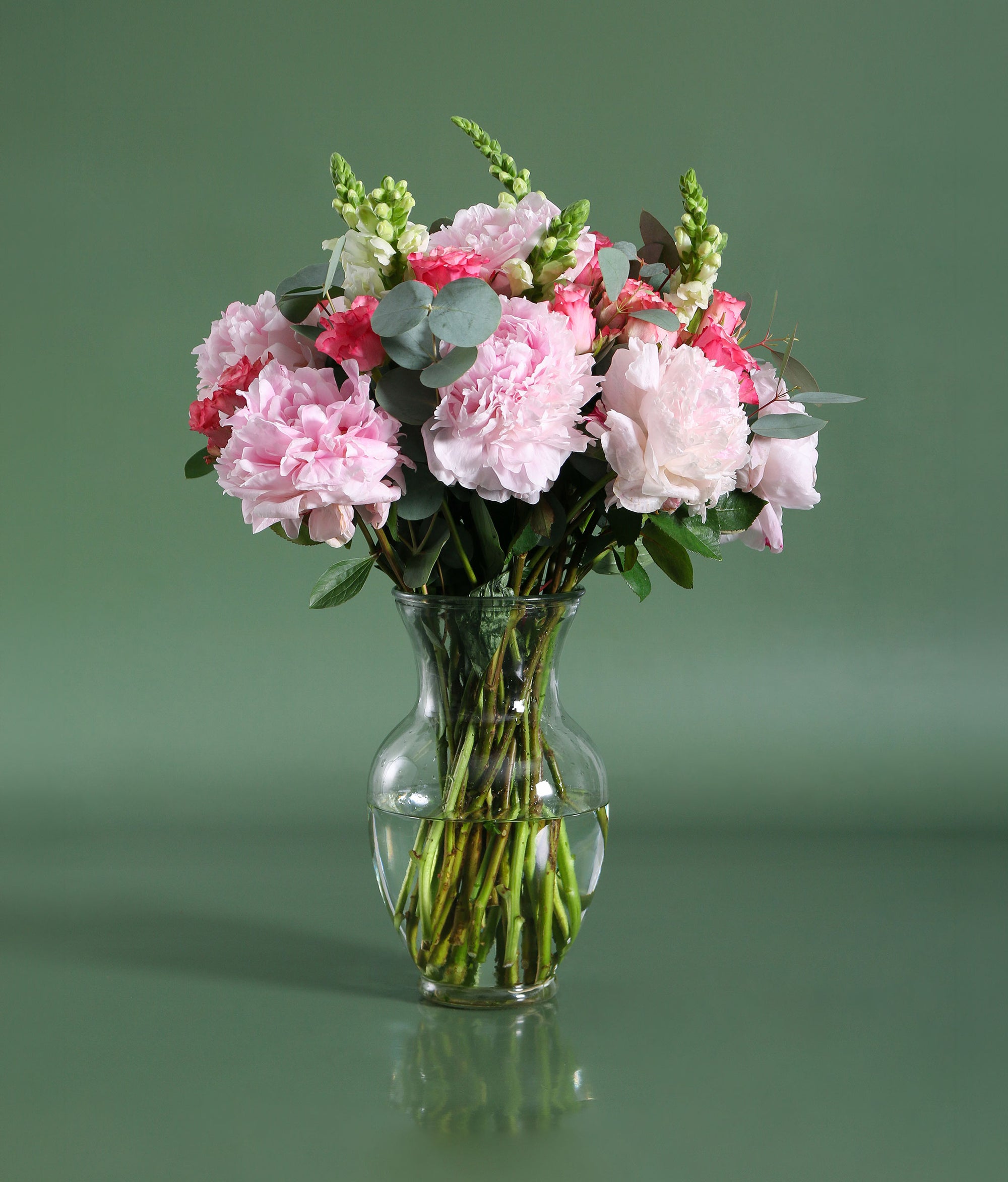 The Darling Blossom