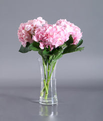 The Blossom