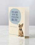 Feeling Ruff